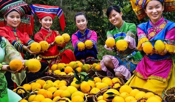【每周優(yōu)品】一不小心就愛上了它，想不到你是這樣的德保臍橙?。。?></a></div>
    <div   id=