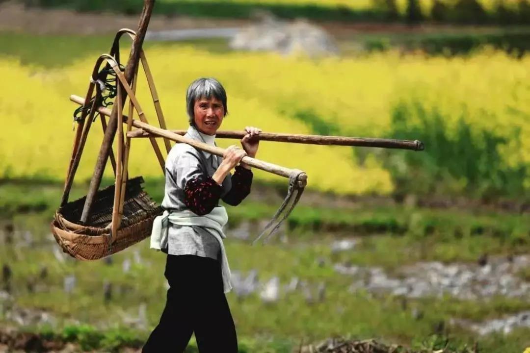【農(nóng)業(yè)雜談】未來10年農(nóng)業(yè)改革，將使一半的農(nóng)民成為農(nóng)業(yè)產(chǎn)業(yè)工人