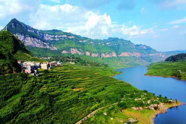 【綠博會動態(tài)】貴州省畢節(jié)市“納雍縣”已簽約第七屆“深圳綠博會”納雍的這些特色農(nóng)產(chǎn)品，你都知道嗎？