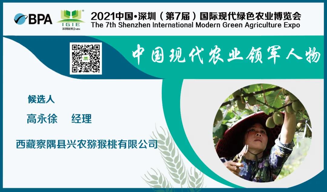 【現(xiàn)代農(nóng)業(yè)領軍人物】高永徐——帶領村民種植著甜蜜的夢。