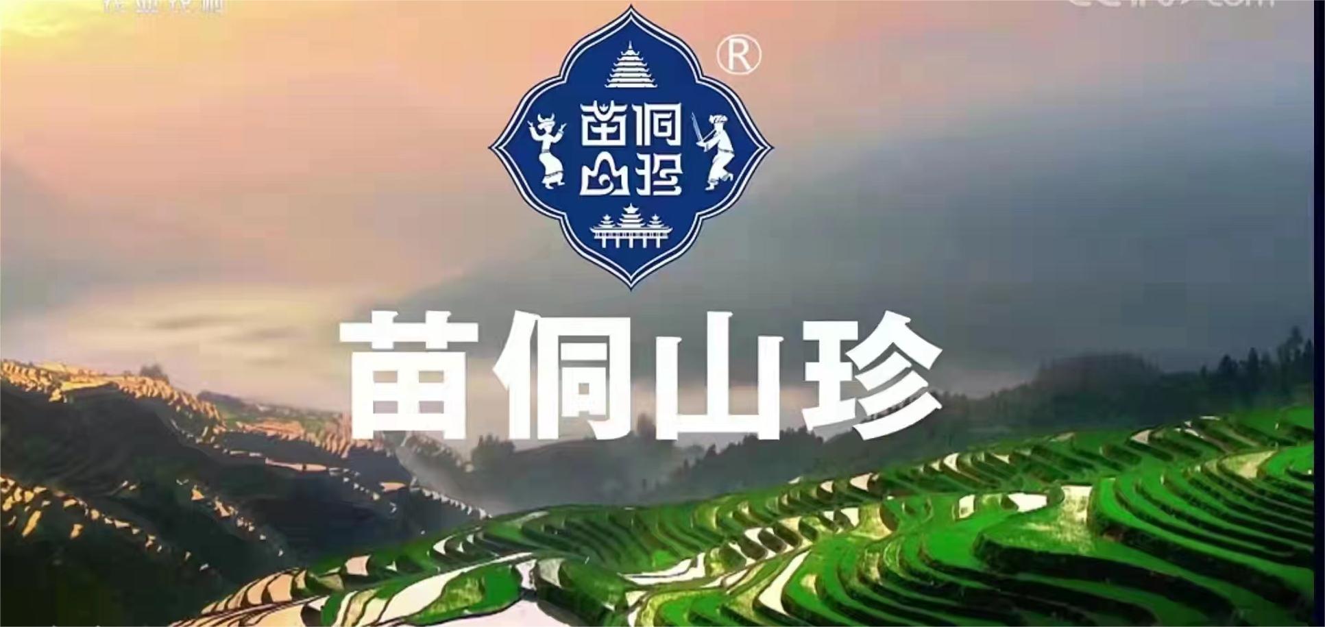 【每周優(yōu)品】走進貴州茶山，了解貴州原生態(tài)綠茶！