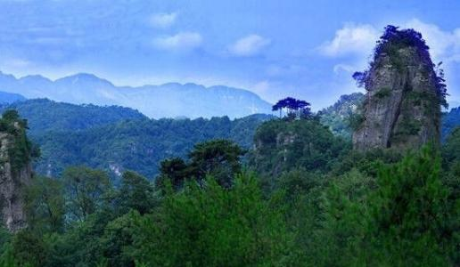 【展商風(fēng)采】來四川廣元品劍門關(guān)土雞，嘗高山露地好蔬菜巴適得很！
