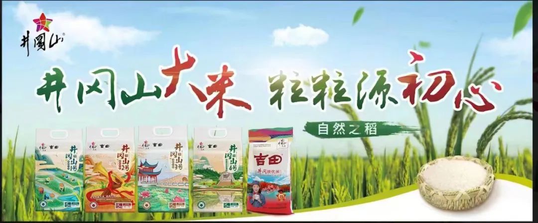 【每周優(yōu)品】在珍稀紅粘沙土中生長(zhǎng)，以山泉水灌溉，質(zhì)地雪白明亮，口感香甜松軟的井岡山大米