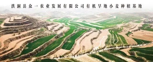 【展商風(fēng)采】健康為天，飲食為先，品質(zhì)出眾，始終如一