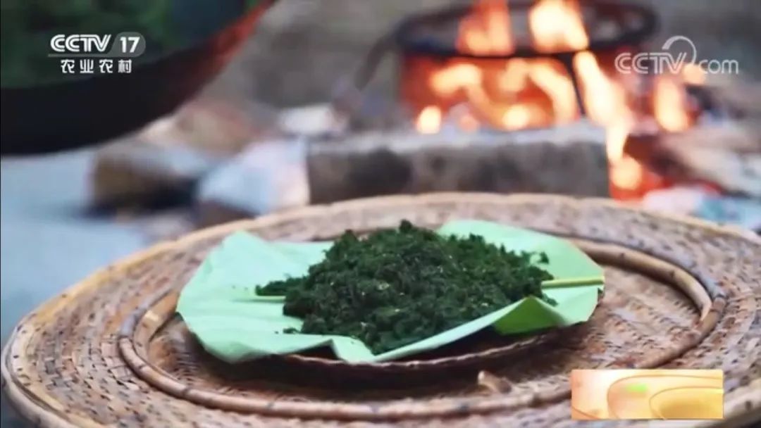 【綠色好心情】別拿青苔不當(dāng)美食！絕對(duì)夠鮮、夠野、夠特別