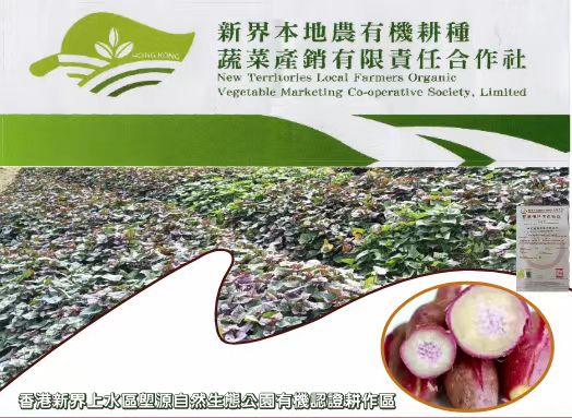 【每周優(yōu)品】香港本地紅薯——好吃不貴，營(yíng)養(yǎng)豐富！